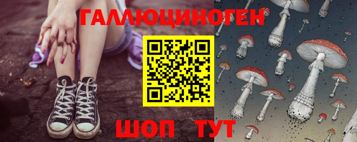 Галлюциногенные грибы Magic Shrooms  Вход с VPN  Камышин 