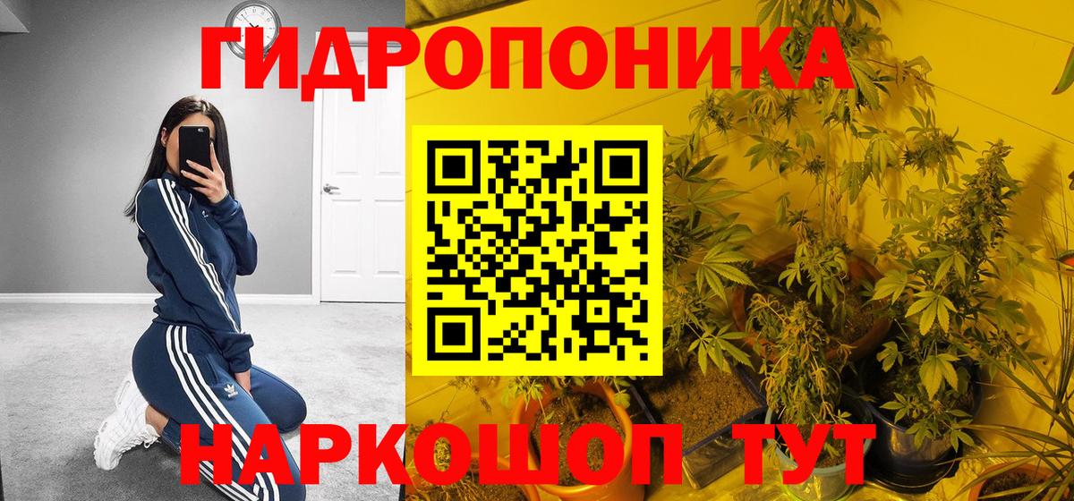 Бошки Шишки марихуана Камышин